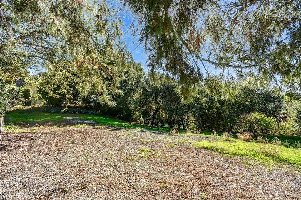 2880 N Theodora, Covina, California 91724 home-pic-45